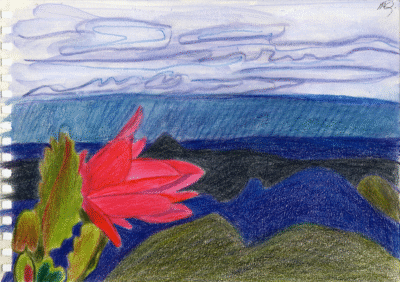 Bogotá desde Bogotá