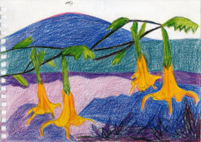 Bogotá desde Bogotá