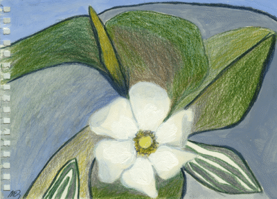 Bogotá desde Bogotá