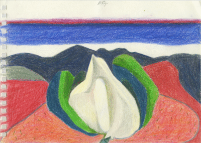 Bogotá desde Bogotá