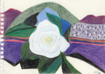 Bogotá desde Bogotá