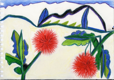 Bogotá desde Bogotá