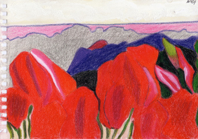 Bogotá desde Bogotá