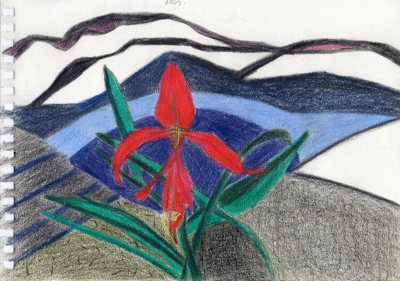 Bogotá desde Bogotá