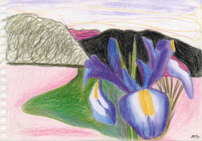 Bogotá desde Bogotá