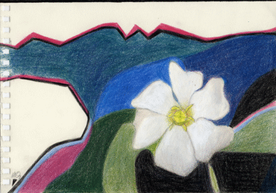 Bogotá desde Bogotá