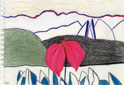 Bogotá desde Bogotá