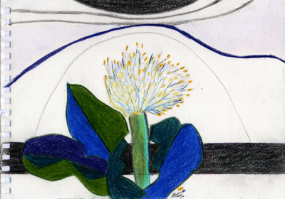 Bogotá desde Bogotá