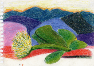 Bogotá desde Bogotá