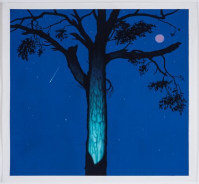 Illuminated in Teal with Pink Moon 1