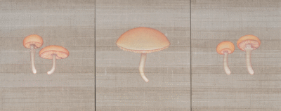 TRIPTICO F10.03.25.A