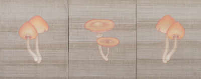 TRIPTICO F10.03.25.B