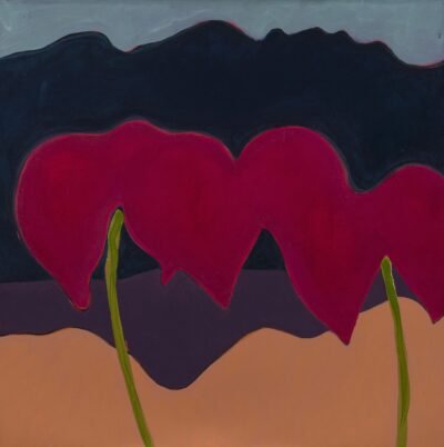 Bogotá desde Bogotá