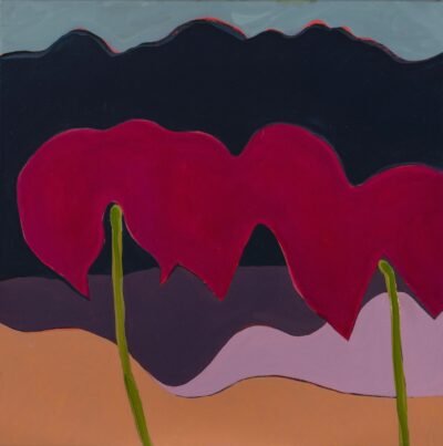 Bogotá desde Bogotá