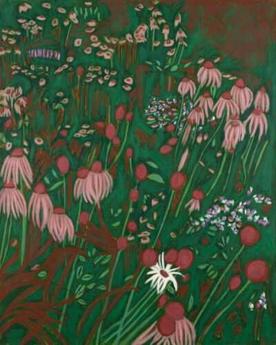 Wildflowers (Echinaceas) end of summer I