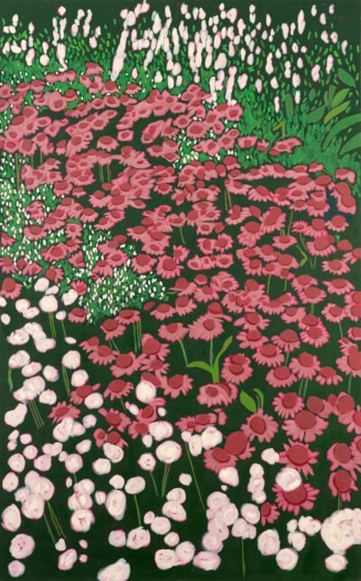 Wildflowers (Echinaceas) in full bloom